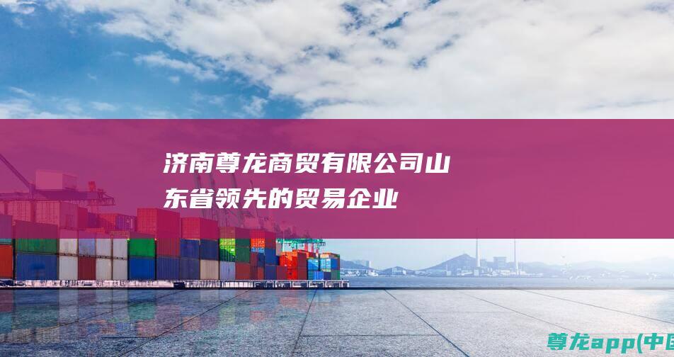 济南尊龙商贸有限公司山东省领先的贸易企业